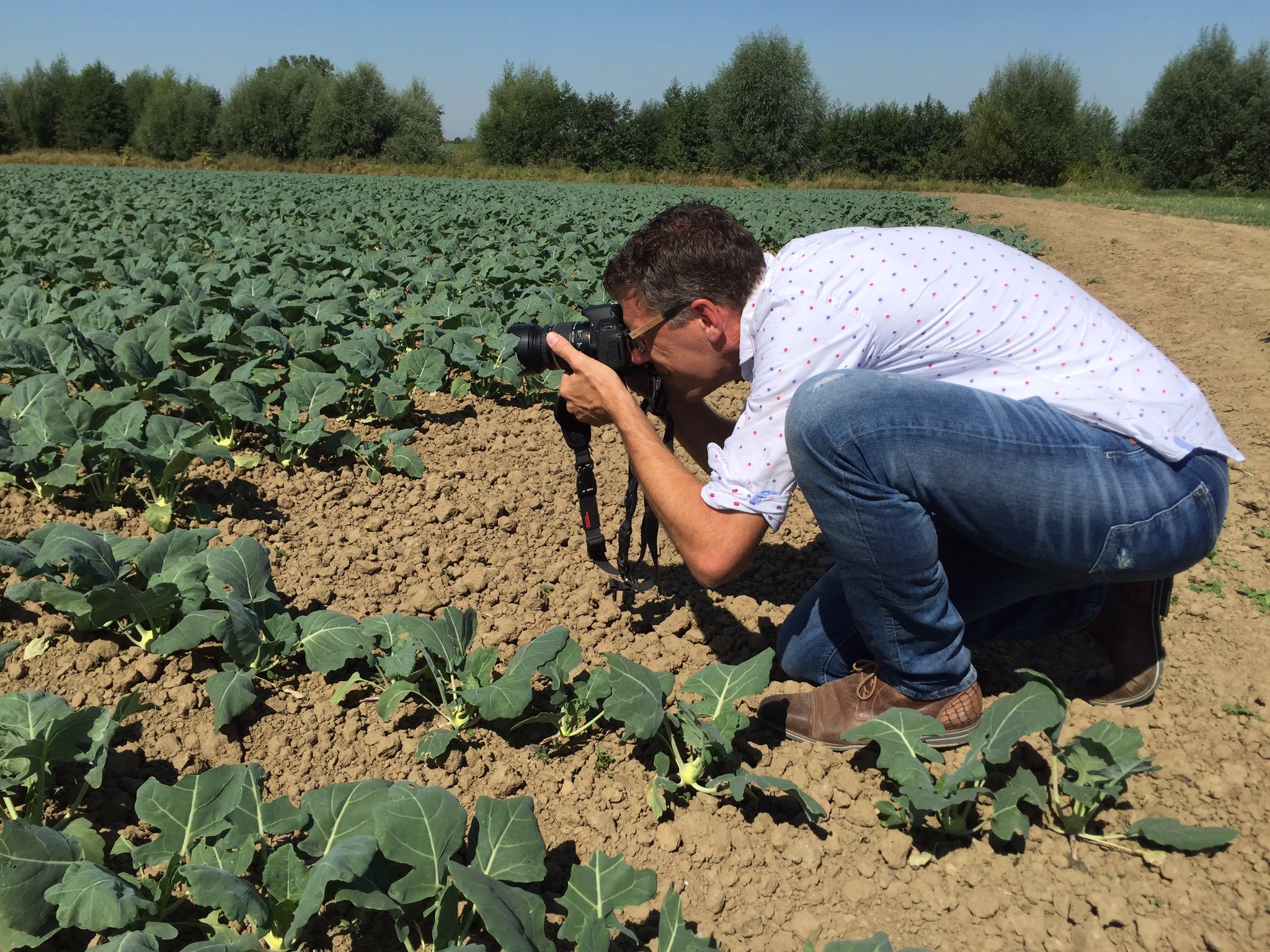 Tekstschrijver in de uien en brassica